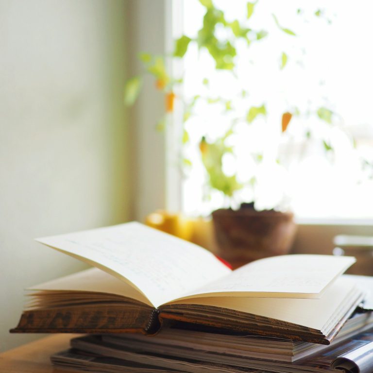 Aufgeschlagenes Notizbuch auf Stapel Bücher vor Fenster mit kleiner Topfpflanze